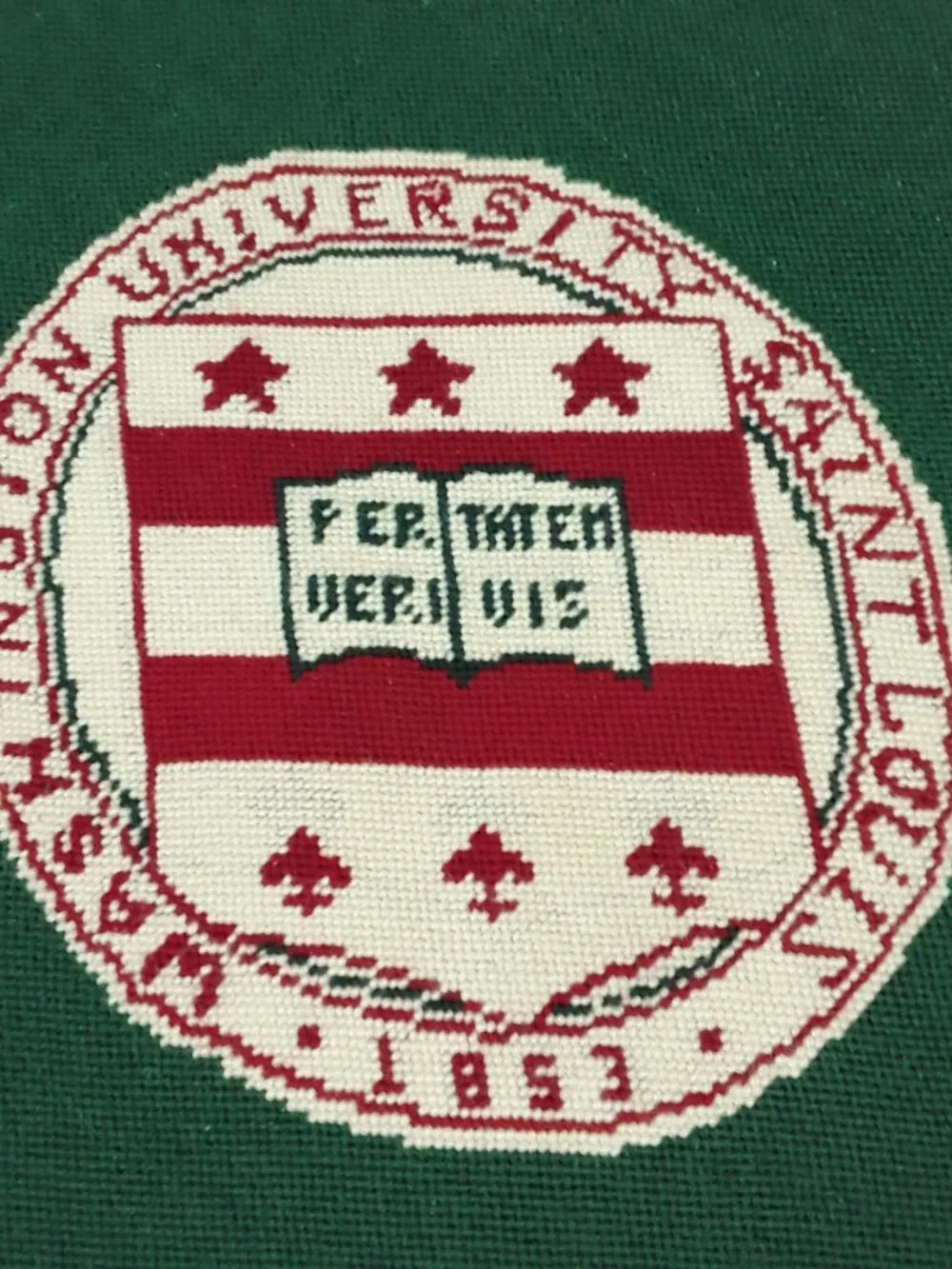 Vtg Washington Univ St Louis Rug 21